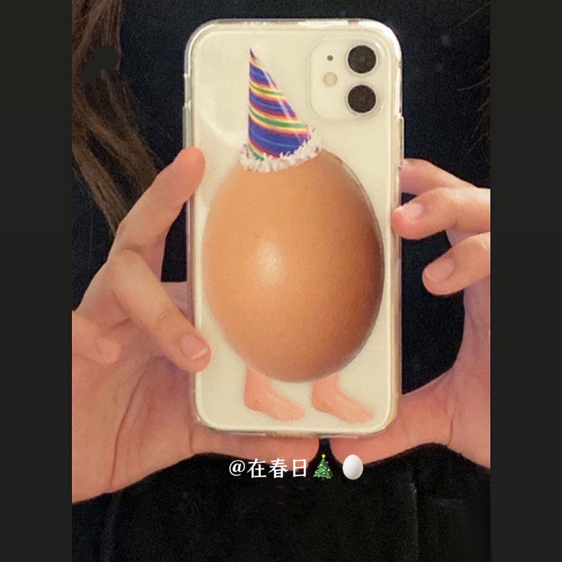 Korean Ins Christmas Hat Egg C - огляд і ціна Phone Cases Custom