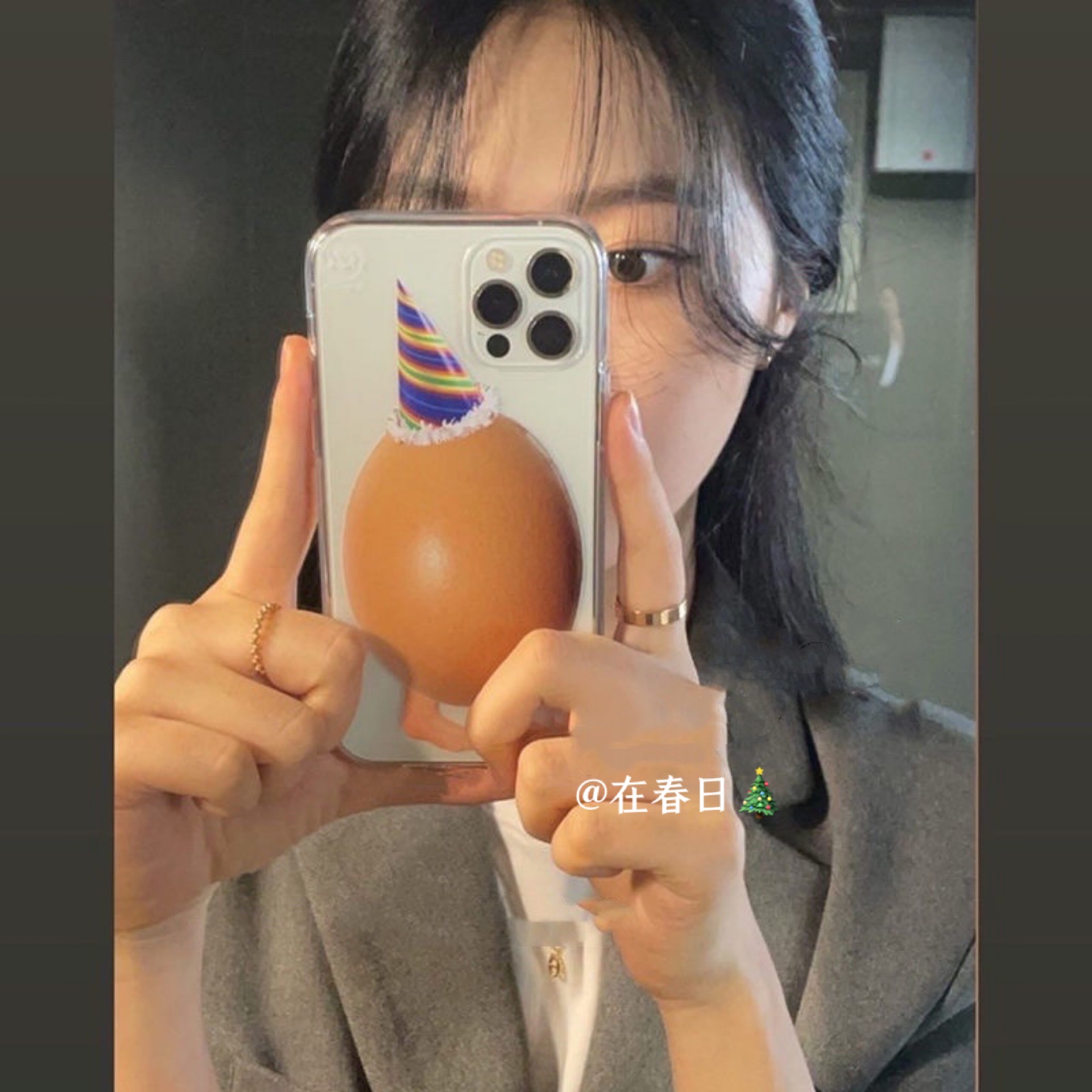 Korean Ins Christmas Hat Egg C - огляд і ціна Phone Cases Custom